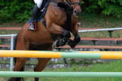 Pfingstsamstag202400097