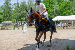 PfingstSonntag2026089