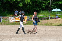 PfingstSonntag2026095