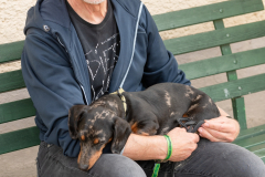 Pfingstsonntag202400042